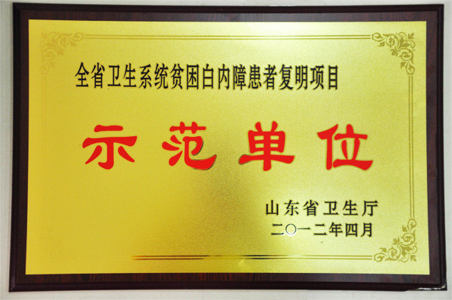 全省卫生系统白内障复明项目示范单位