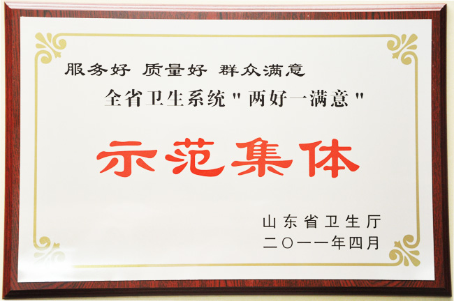 全省卫生系统两好一满