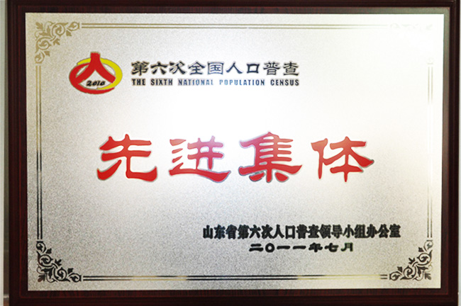 第六次全国人口普查先进集体
