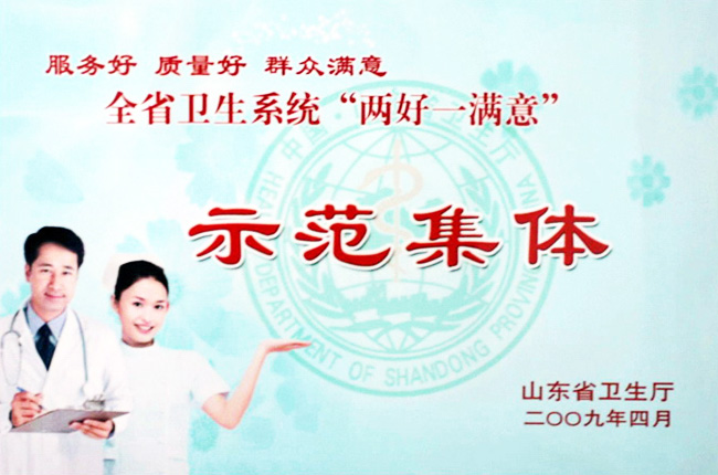 山东省卫生厅“两好一满意”示范集体