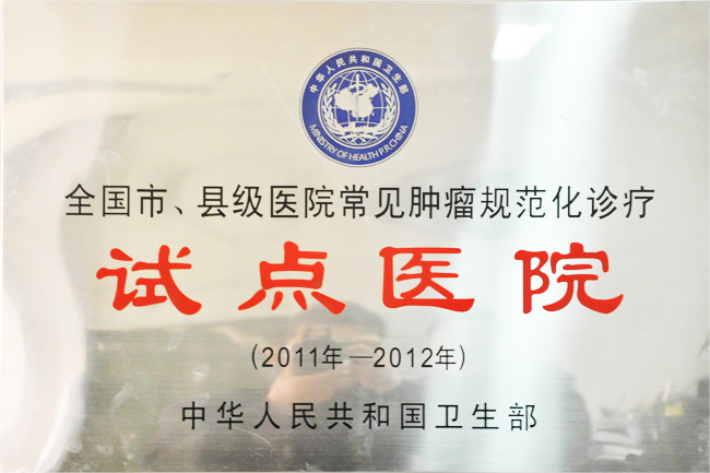 全国肿瘤规范化诊疗试点医院