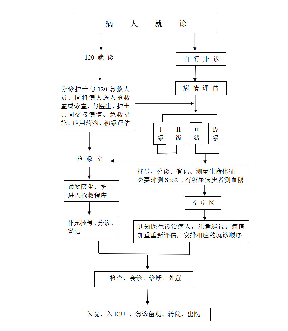 急诊检验、分诊工作流程1.jpg