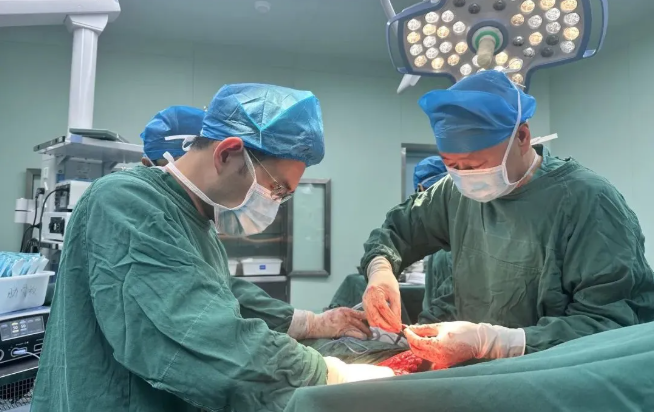 1760580962496195.png 1760580962496195.png