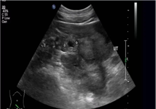 1767854497317800.png screenshot_2026-01-08_14-41-23.png