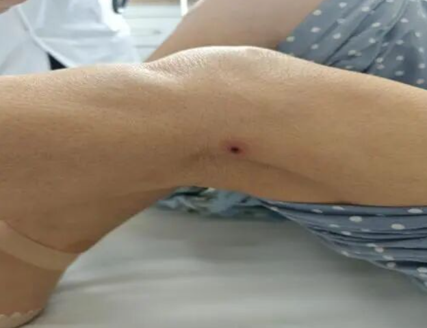 1774252480614341.png screenshot_2026-03-23_15-54-27.png