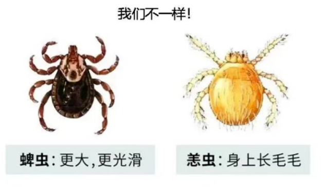 1774252539364303.png screenshot_2026-03-23_15-55-27.png