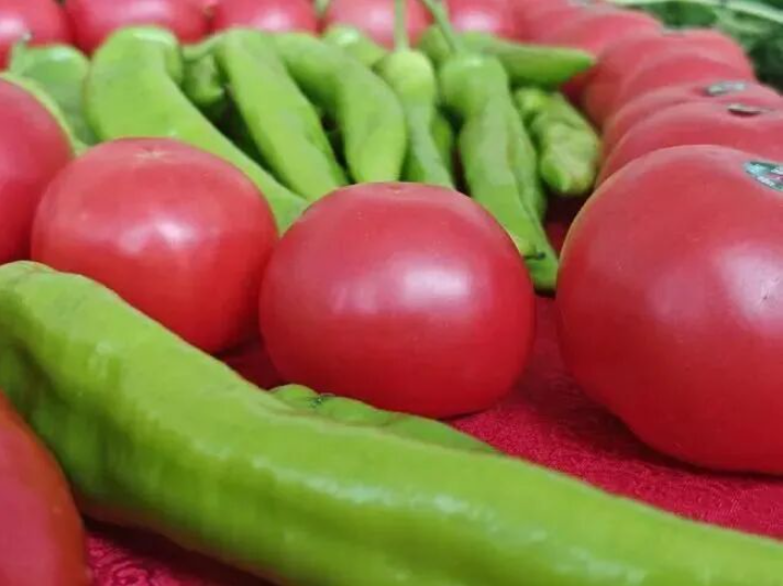 1775015445960480.png screenshot_2026-04-01_11-50-35.png