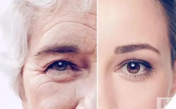 1775526782122203.png screenshot_2026-04-07_09-52-53.png